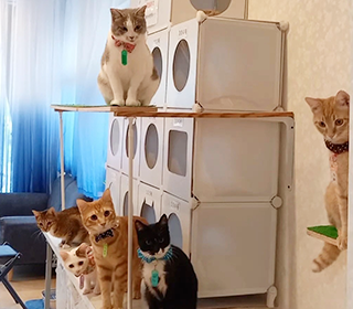 ギャラリー画像